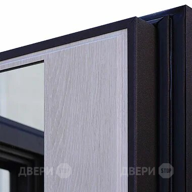 Входная металлическая Дверь Шелтер (SHELTER) Филадельфия Зеркало в Старой Купавне