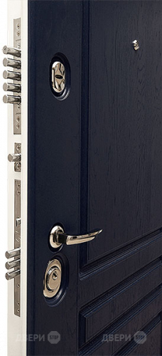 Входная металлическая Дверь Сударь МД-45 в Старой Купавне